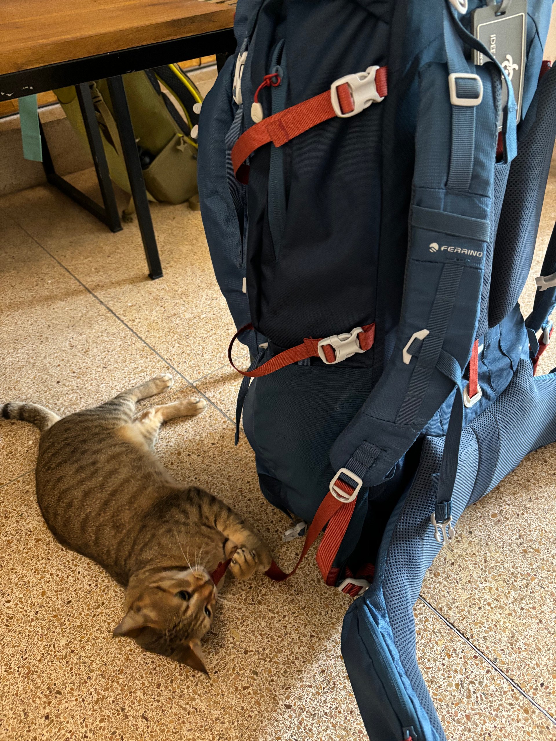 recensione ferrino transalp 75 in viaggio