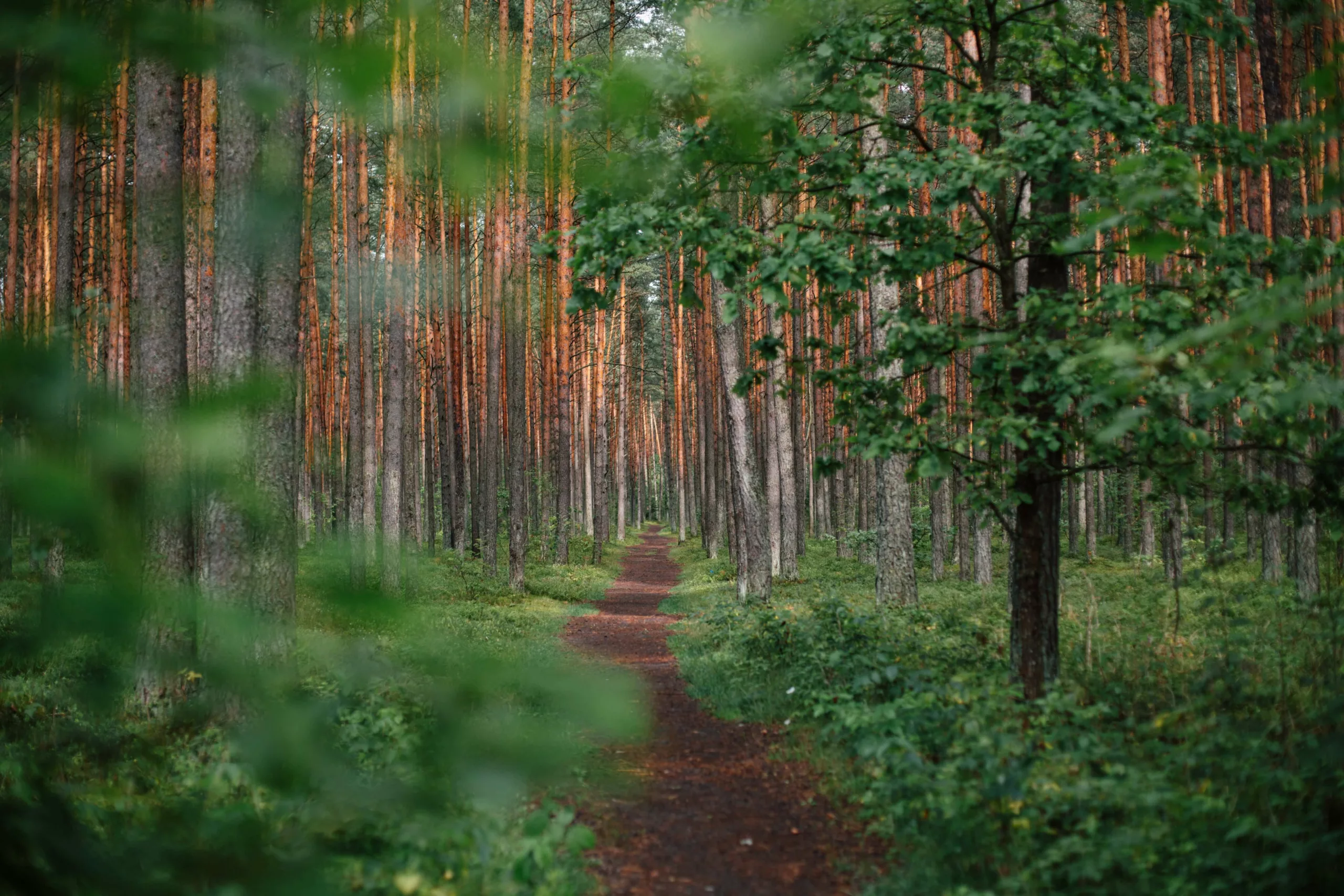 Destinazioni meno conosciute per viaggi eco-sostenibili