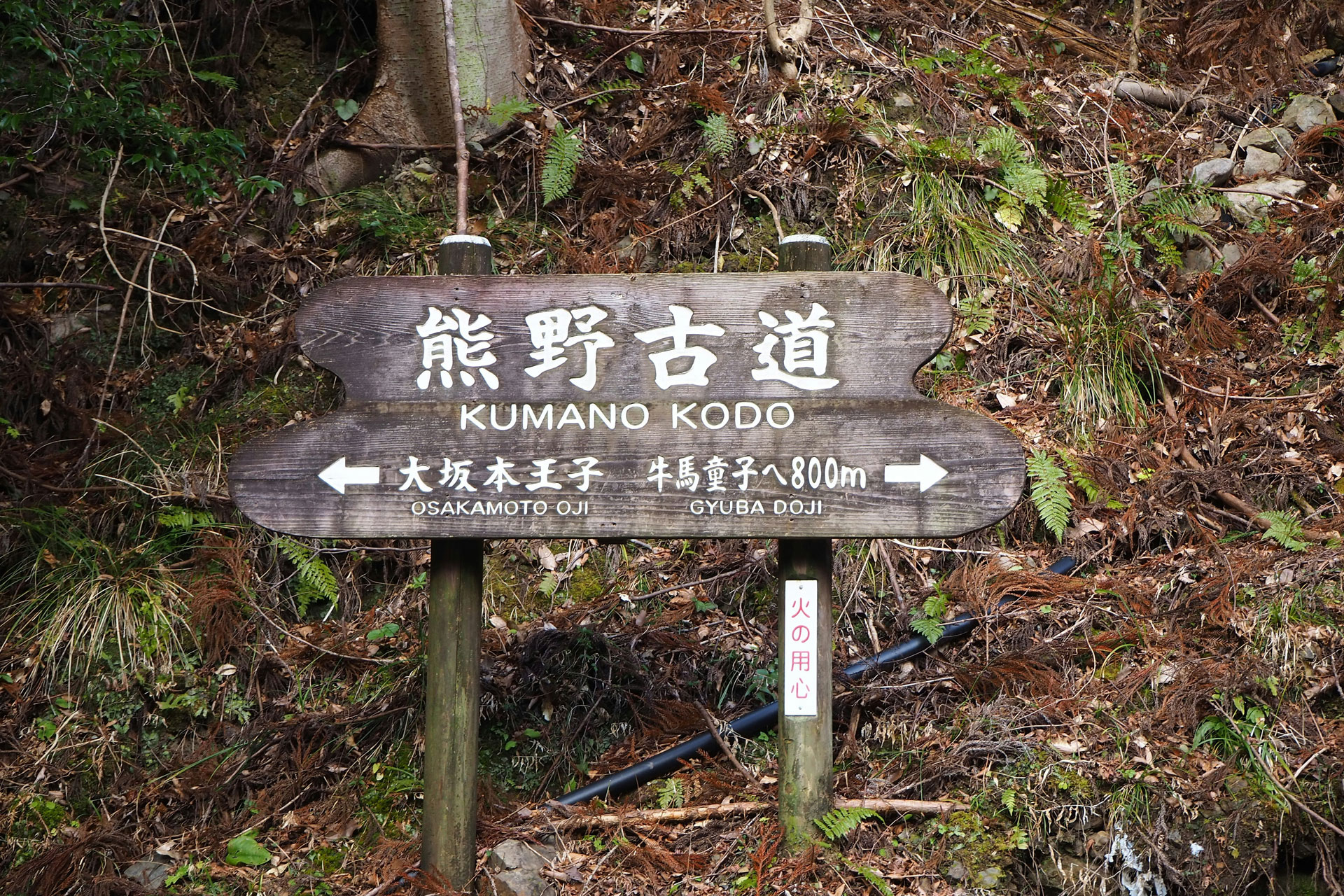 kumano kodo