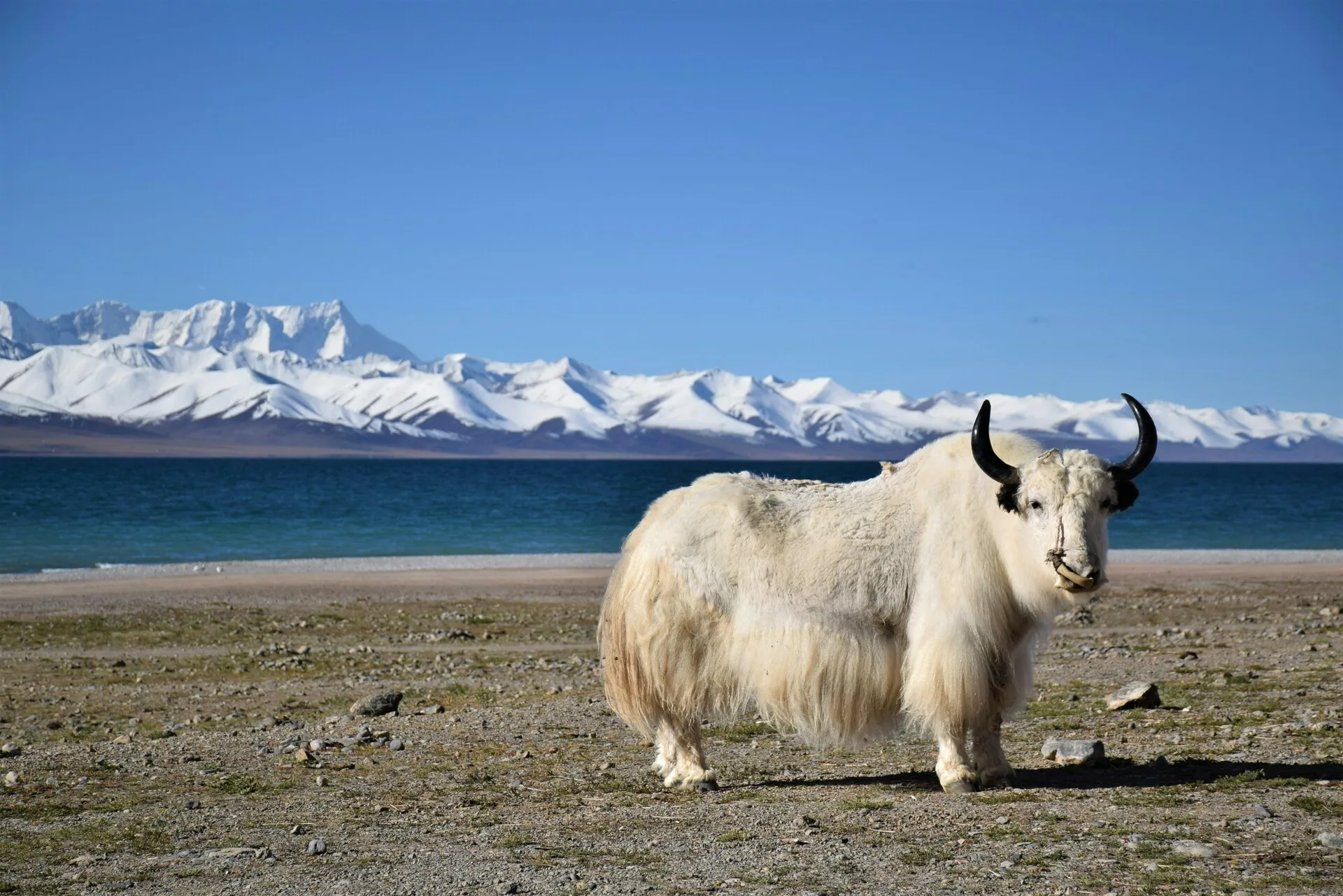 Lago Namtso