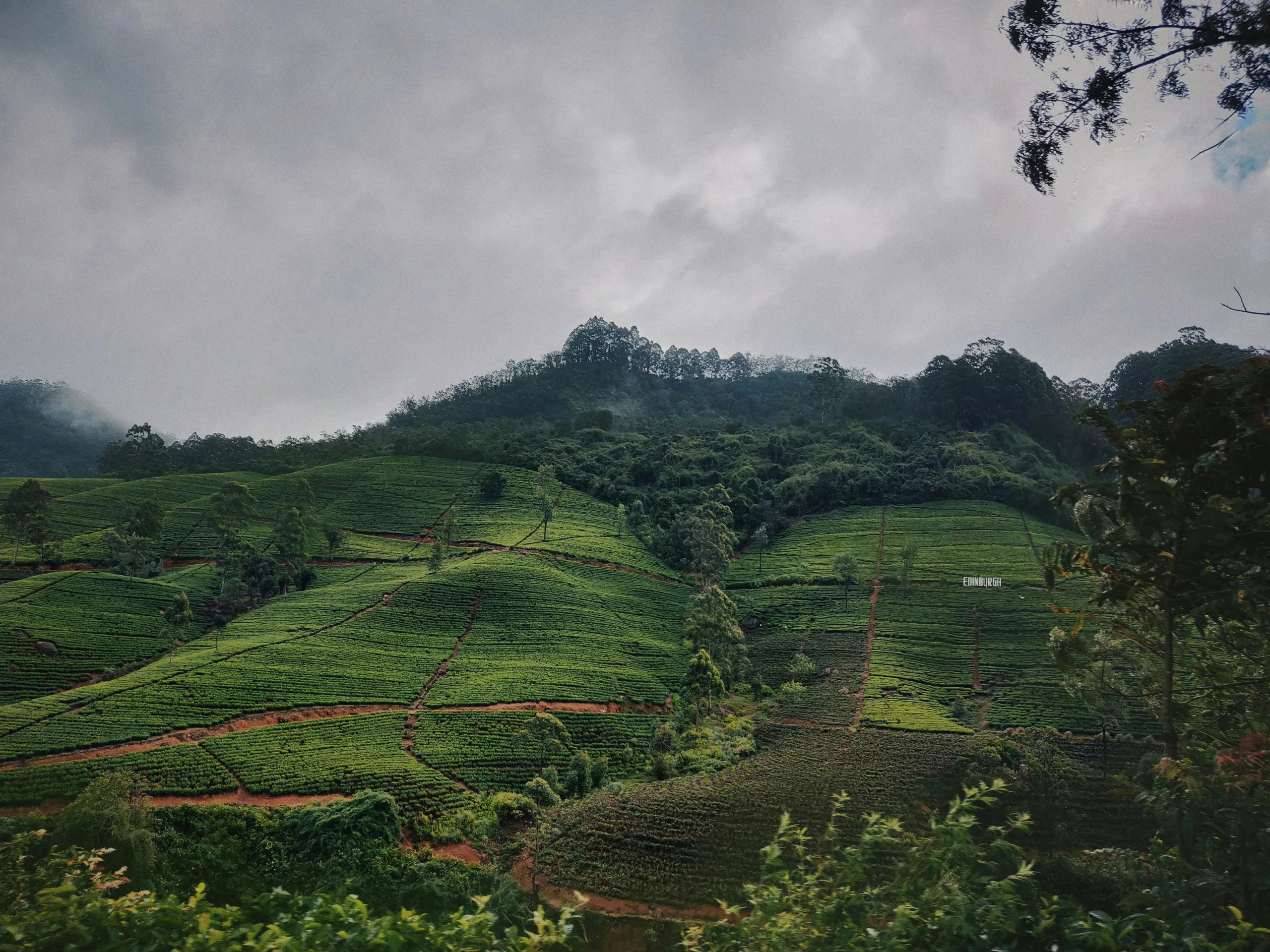 viaggi a impatto zero sri lanka