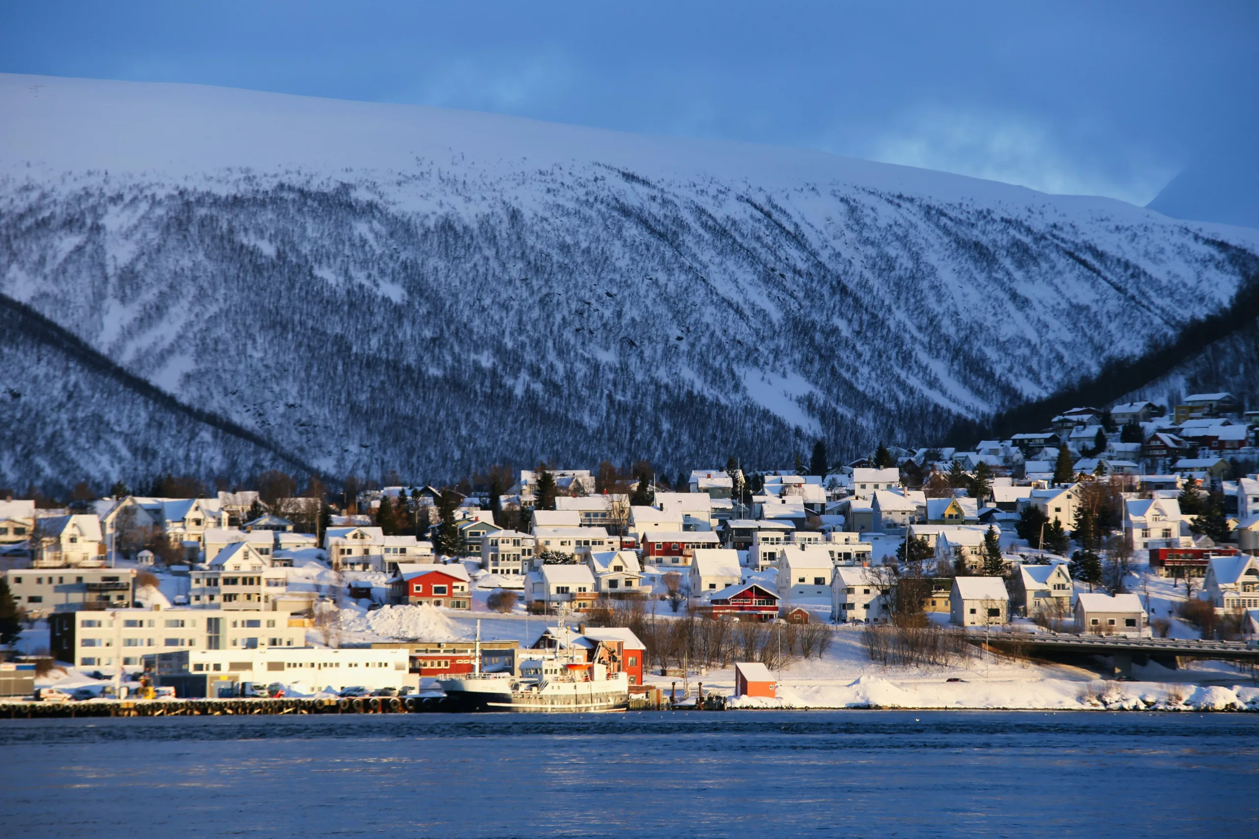 Tromso estate scaled