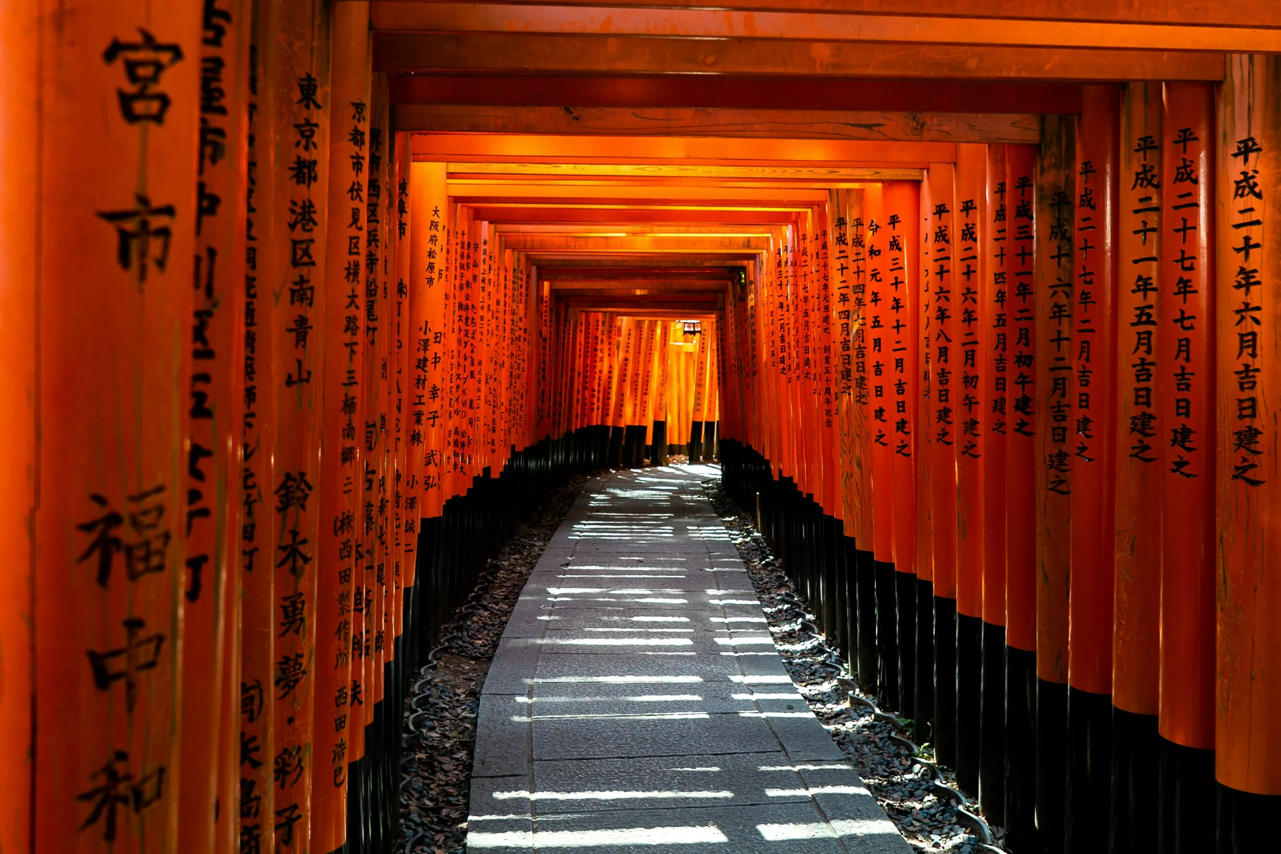 kyoto Dove andare in Asia