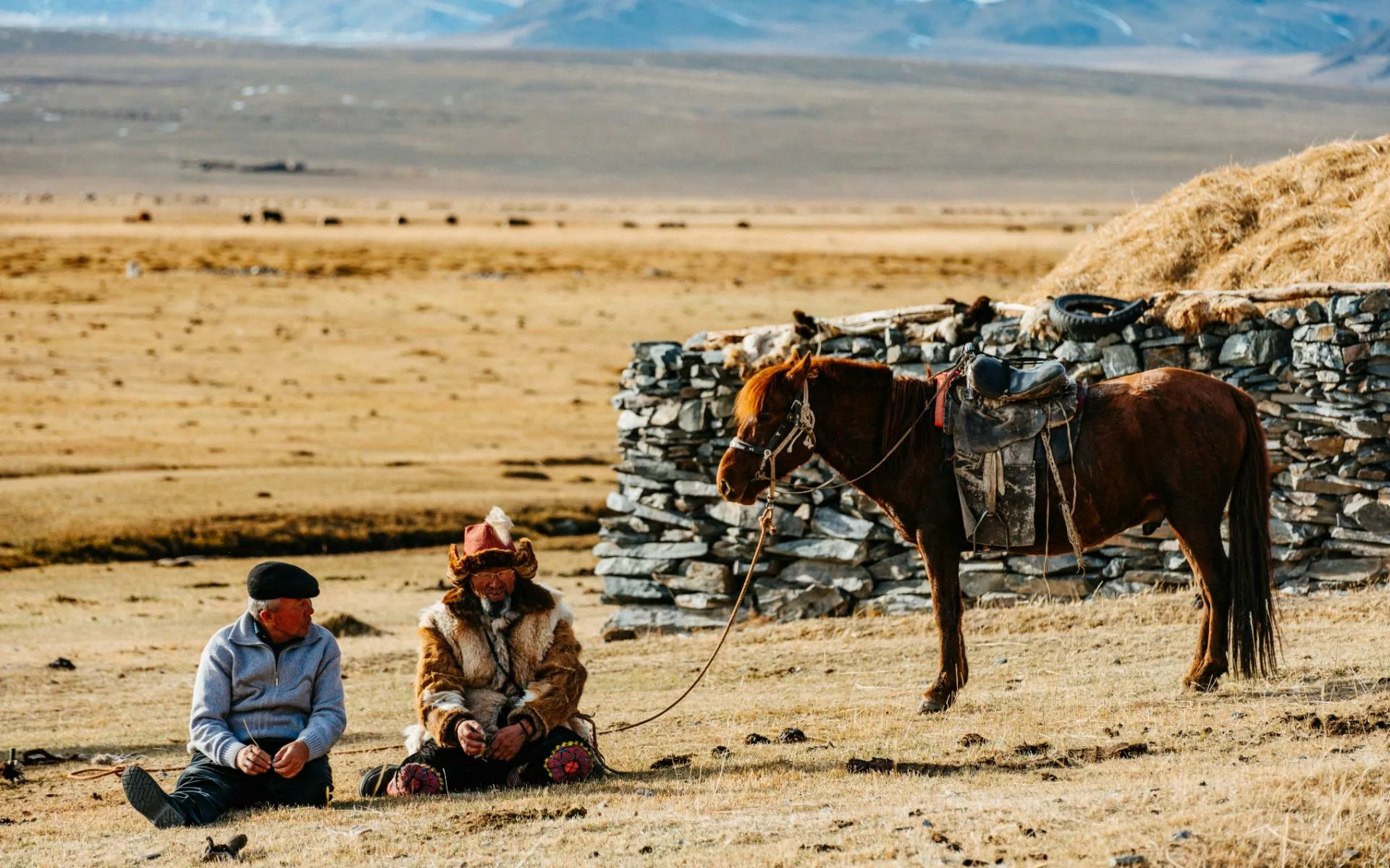 tribu mongolia